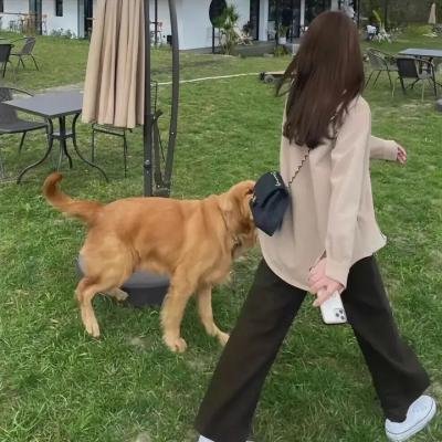憋住·别笑